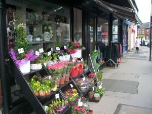 Shops on Sharrow Vale Road