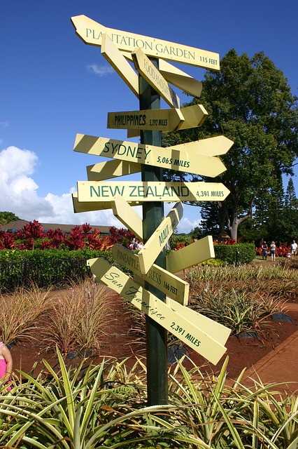 Signpost with many directions