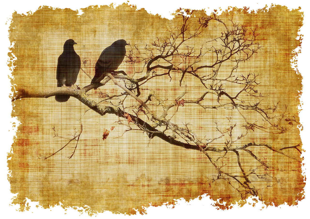 Two birds in a leafless tree branch