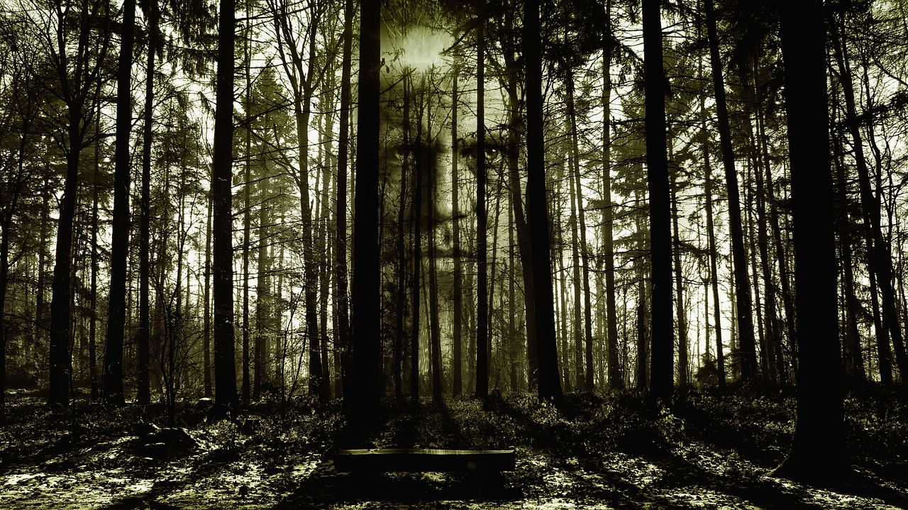 Forest scene with face in the trees