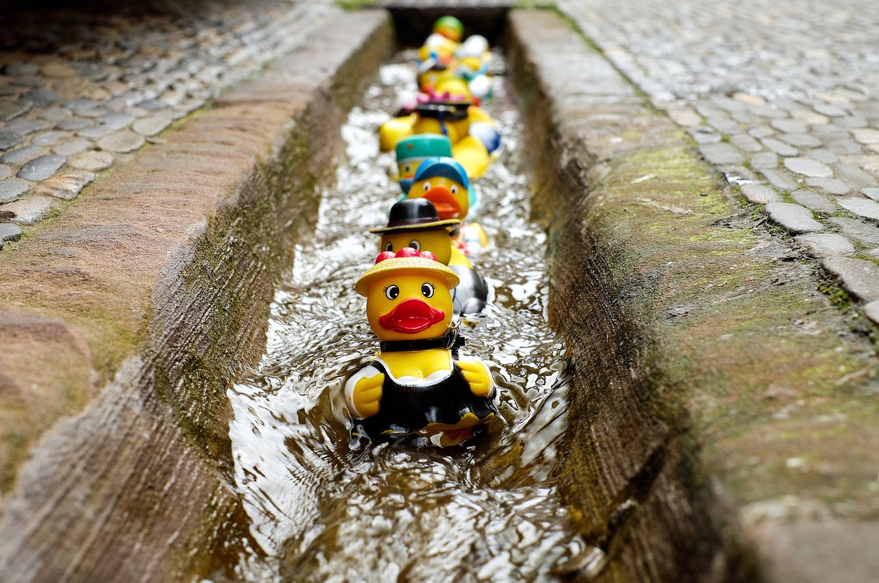 Rubber ducks floating along a drain