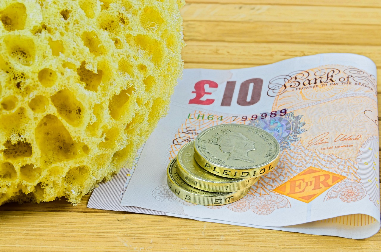 Pounds sterling and a sponge