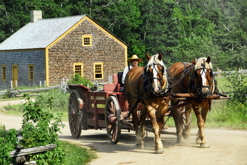 Cart drawn by two horses