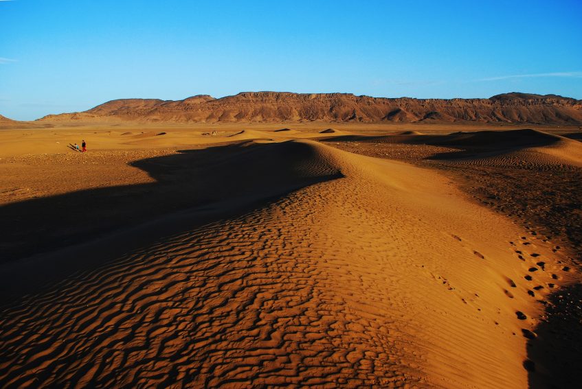 desert landscape