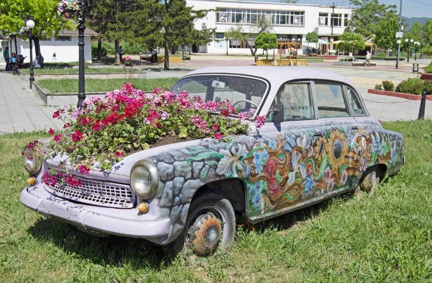 disused car with flowers in the engine