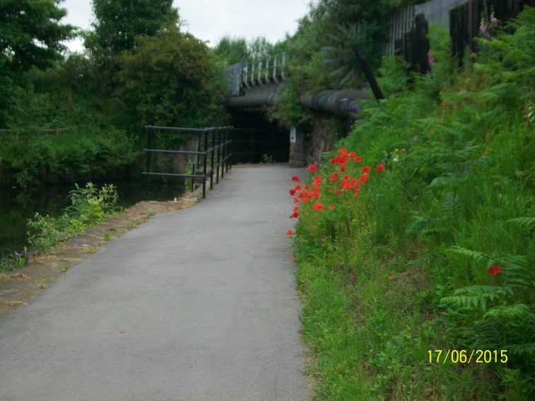 Canal in Rotherham