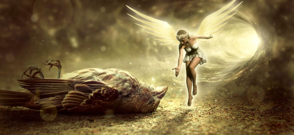 Dead bird with fairy