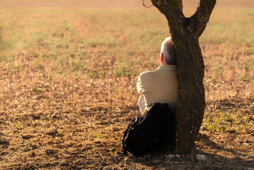 Man sitting beneath tree